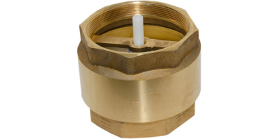 Зворотний клапан для води Bonomi Loira 4" (10100019) Зворотний клапан для води Bonomi Loira 4" (10100019)