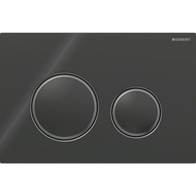 Змивна клавіша Geberit Sigma50 (ex Sigma21) для подвійного змиву Round чорний (115.651.SJ.1) Змивна клавіша Geberit Sigma50 (ex Sigma21) для подвійного змиву Round чорний (115.651.SJ.1)