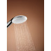 Душевой гарнитур Grohe Tempesta 110, 1 режим струи (27924003) Душевой гарнитур Grohe Tempesta 110, 1 режим струи (27924003)