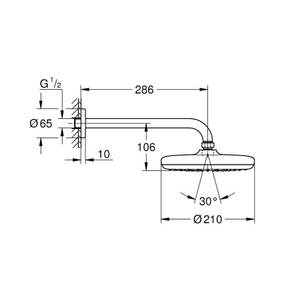 Верхний душ Grohe Tempesta 210 с душевым кронштейном 286 мм, 1 режим струи (26411000) Верхний душ Grohe Tempesta 210 с душевым кронштейном 286 мм, 1 режим струи (26411000)