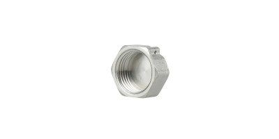 Фитинг резьбовой латунный заглушка ВН 1/2" Thermo Alliance SF35215 Фитинг резьбовой латунный заглушка ВН 1/2" Thermo Alliance SF35215